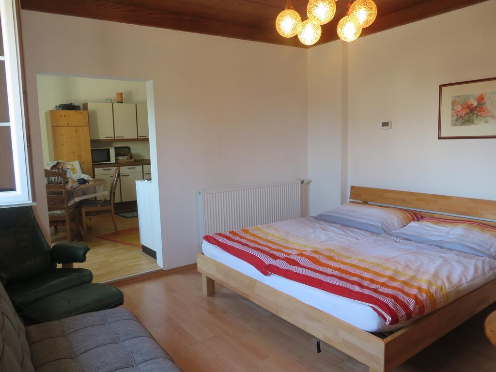 Ferienhaus Deller Pinkafeld Camera foto